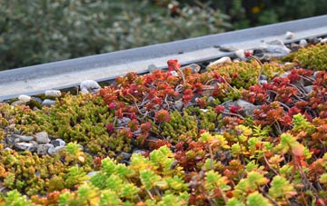 the cost of Bonnyrigg green roof installation