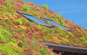 Bonnyrigg living roof systems